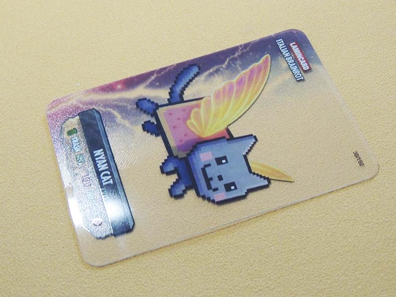 Nyan Cat N°30/162 - Italian Brainrot Multiverse - Lamincard