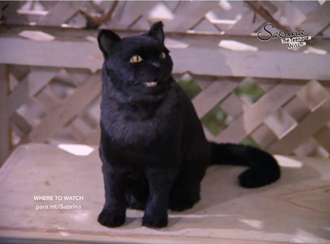 Salem, le chat sorcier de Sabrina