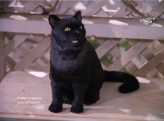 Salem, le chat sorcier de Sabrina