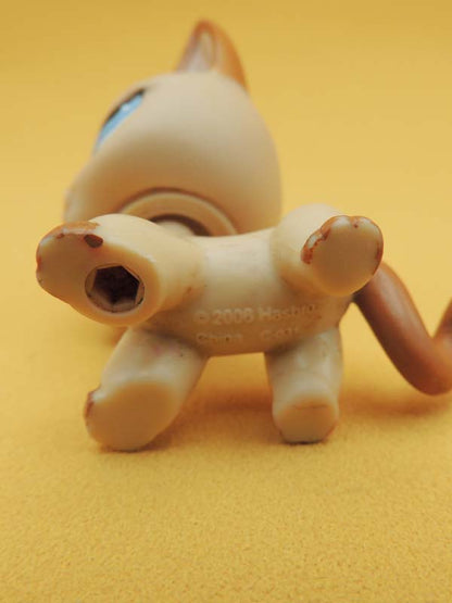 Littlest Pet Shop - Chat Européen Beige - #1024 LPS Hasbro