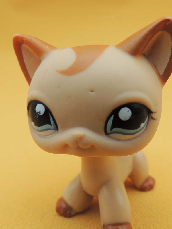 Littlest Pet Shop - Chat Européen Beige - #1024 LPS Hasbro