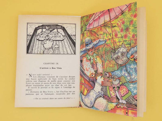 Cha-Fou Dans La Pampa - Edith Lesprit Roman Vintage 70's