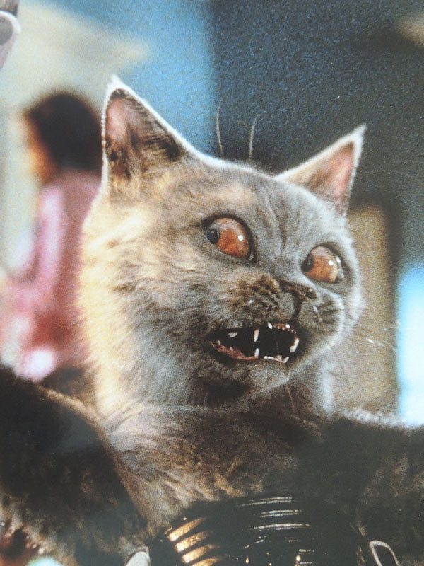 Comme Chiens et Chats - N°01 - Photo d'Exploitation Vintage 2001
