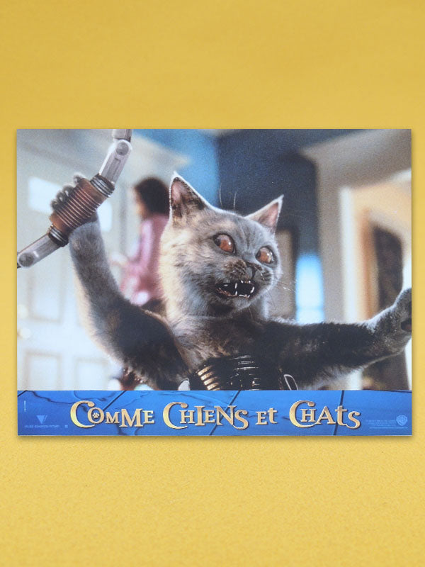 Comme Chiens et Chats - N°01 - Photo d'Exploitation Vintage 2001