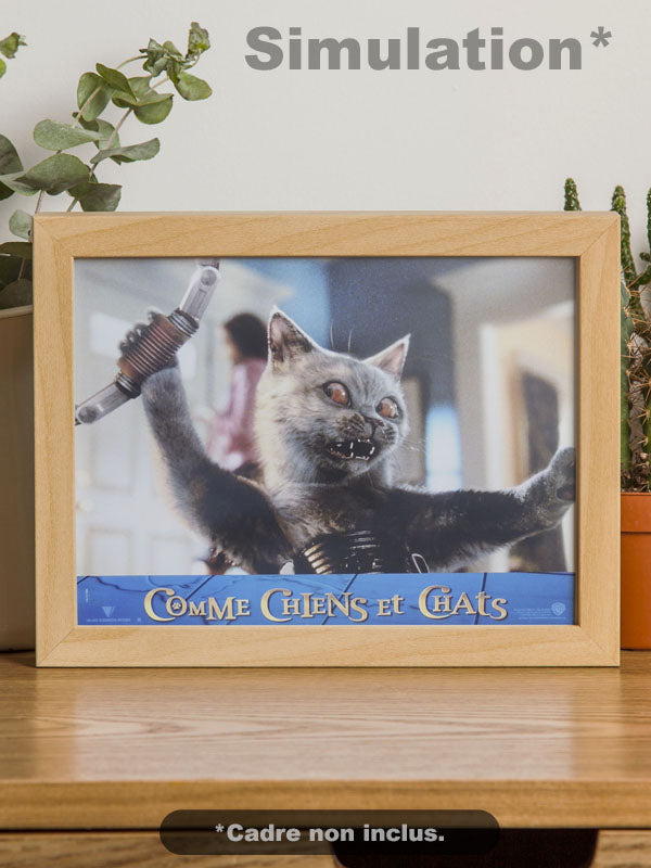Comme Chiens et Chats - N°01 - Photo d'Exploitation Vintage 2001