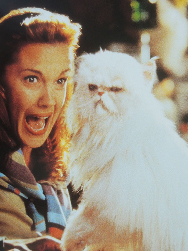 Comme Chiens et Chats - N°02 - Photo d'Exploitation Vintage 2001