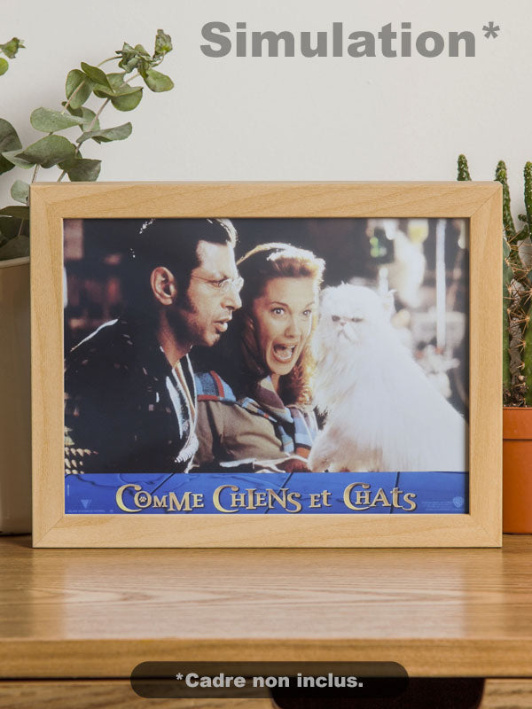 Comme Chiens et Chats - N°02 - Photo d'Exploitation Vintage 2001