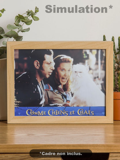 Comme Chiens et Chats - N°02 - Photo d'Exploitation Vintage 2001