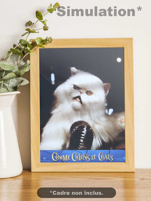 Comme Chiens et Chats - N°03 - Photo d'Exploitation Vintage 2001