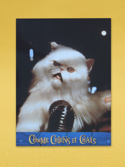 Comme Chiens et Chats - N°03 - Photo d'Exploitation Vintage 2001