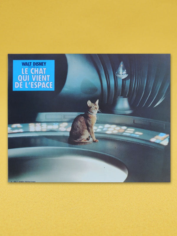 Le Chat Qui Vient de L'Espace N°02 - Walt Disney - Photo d'exploitation Vintage 1978