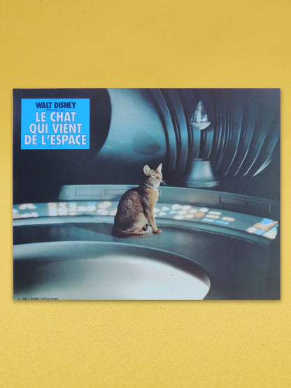 Le Chat Qui Vient de L'Espace N°02 - Walt Disney - Photo d'exploitation Vintage 1978