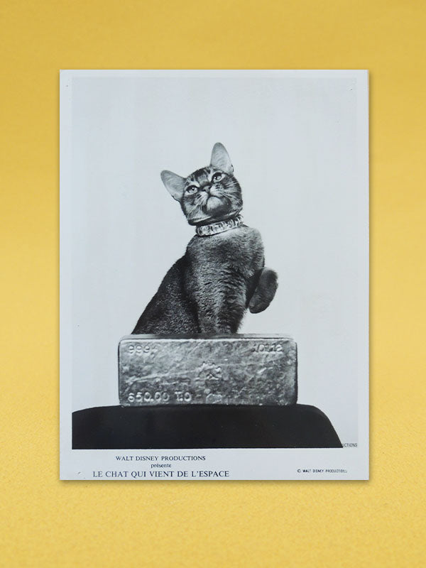 Le Chat Qui Vient de L'Espace N°04 - Walt Disney - Photo d'exploitation Vintage 1978