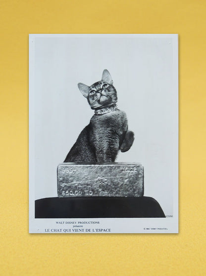 Le Chat Qui Vient de L'Espace N°04 - Walt Disney - Photo d'exploitation Vintage 1978