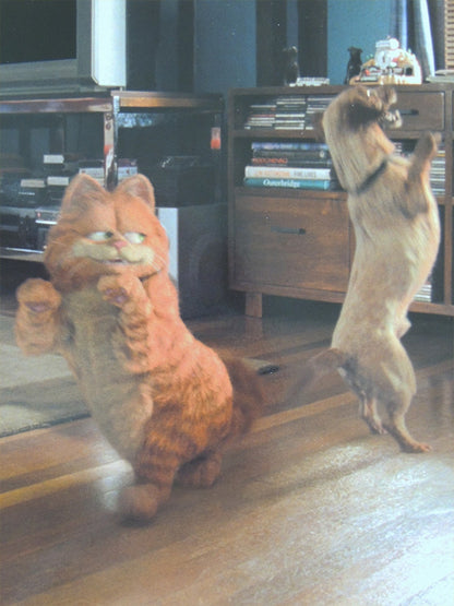 Garfield Le Film - N°02 - Photo d'Exploitation Vintage 2003
