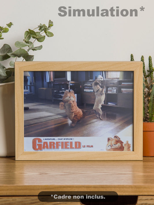 Garfield Le Film - N°02 - Photo d'Exploitation Vintage 2003