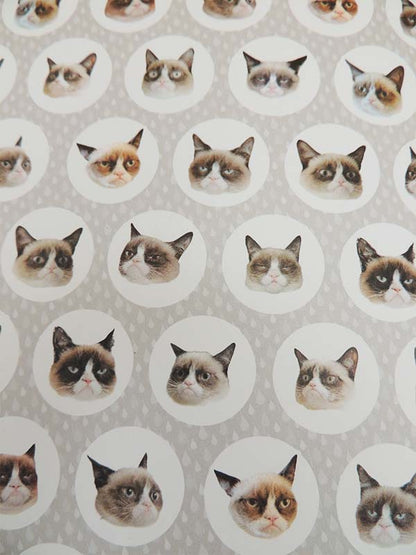 Grumpy Cat - Un Livre Grincheux (Livre Officiel) 2013
