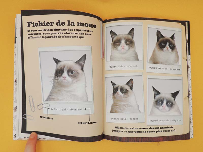 Grumpy Cat - Un Livre Grincheux (Livre Officiel) 2013