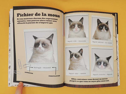 Grumpy Cat - Un Livre Grincheux (Livre Officiel) 2013