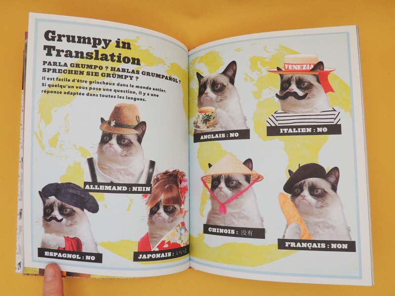 Grumpy Cat - Un Livre Grincheux (Livre Officiel) 2013