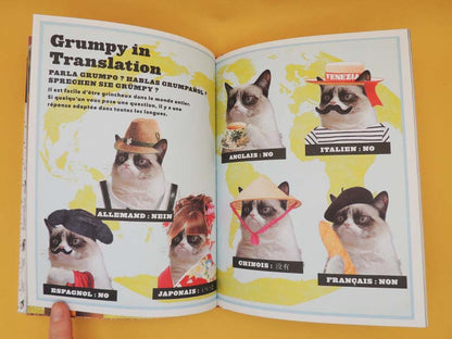 Grumpy Cat - Un Livre Grincheux (Livre Officiel) 2013