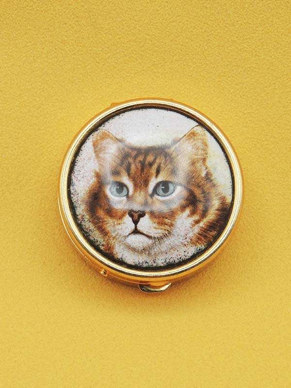 Portrait de Chat Tigré - Pilulier Métallique Vintage
