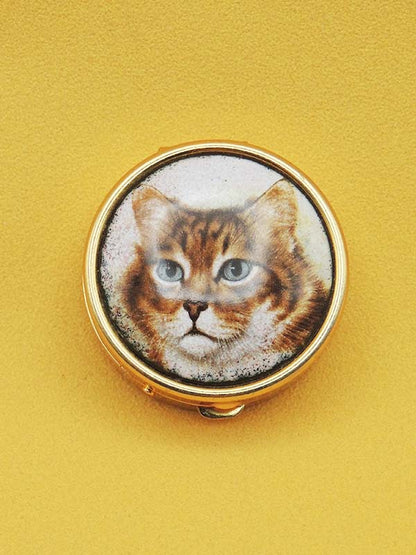 Portrait de Chat Tigré - Pilulier Métallique Vintage