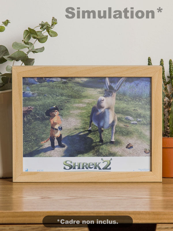 Shrek 2 - N°01 - Photo d'Exploitation Vintage 2004