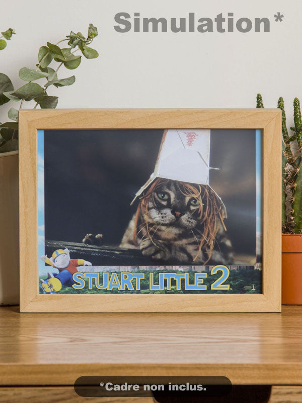Stuart Little 2 - N°02 - Photo d'Exploitation Vintage 2002