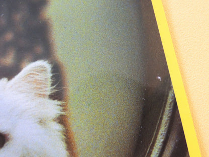 Stuart Little - N°02 - Photo d'Exploitation Vintage 1999
