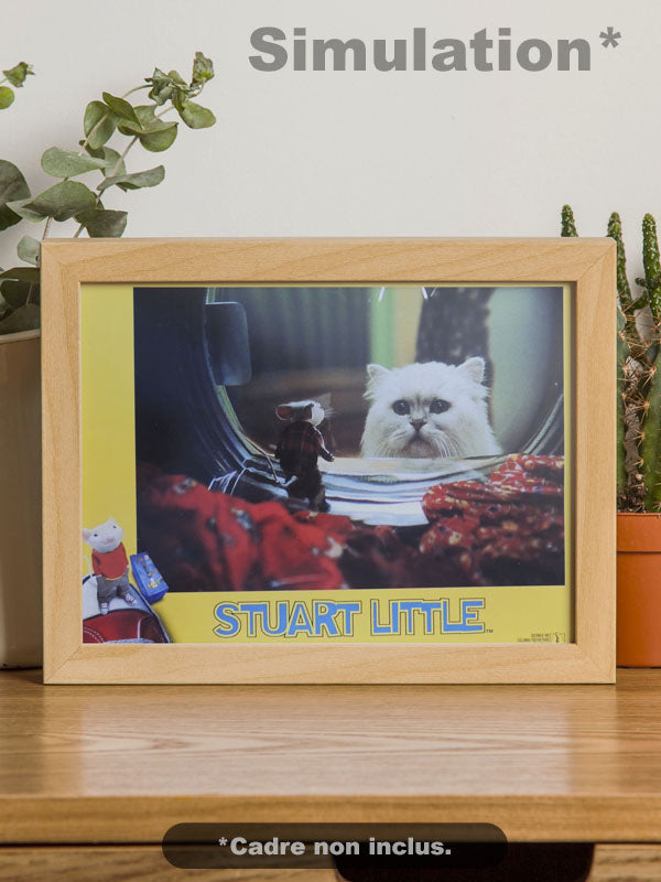 Stuart Little - N°02 - Photo d'Exploitation Vintage 1999